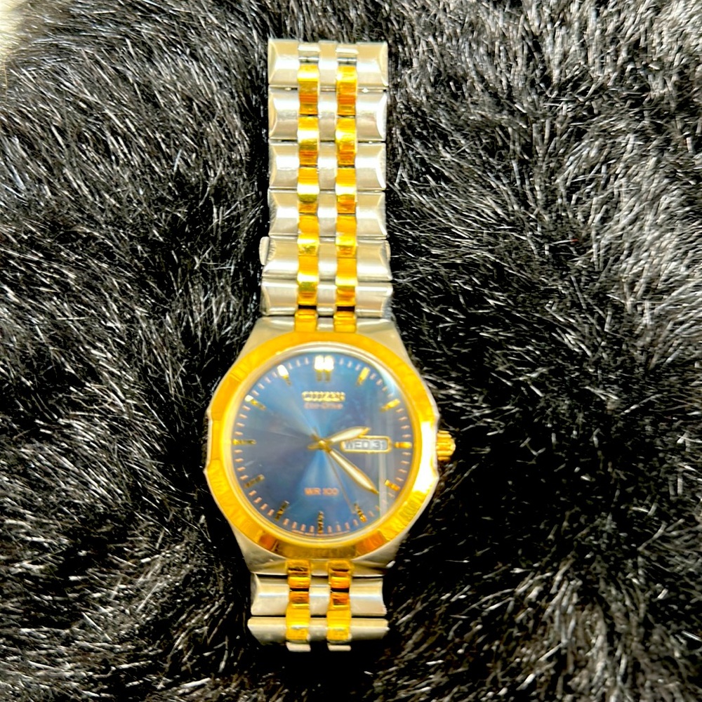 Citizen watch